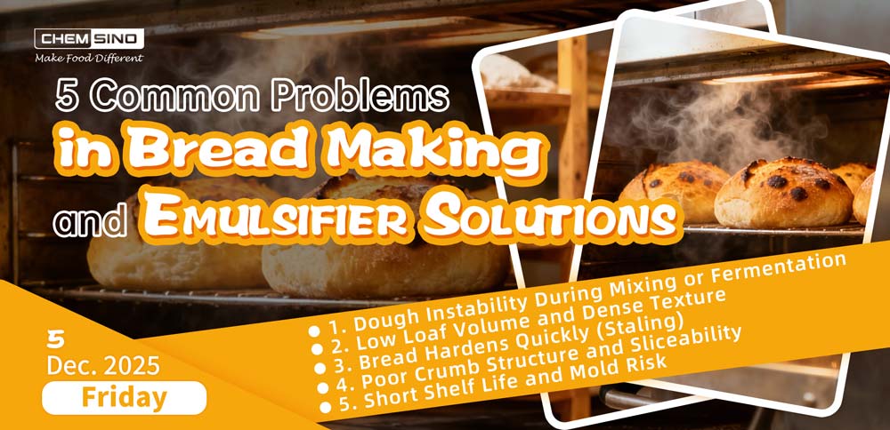 5 Common Problems in Bread Making and Emulsifier Solutions